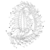 Rhinestone Ribbon Tassel Chain, Crystal Chain Fringe Trim Shining for Decoration Sewing Clothing Beaded Jeans Accessories DIY Diamond Craft Personalized Decor (Silver)
